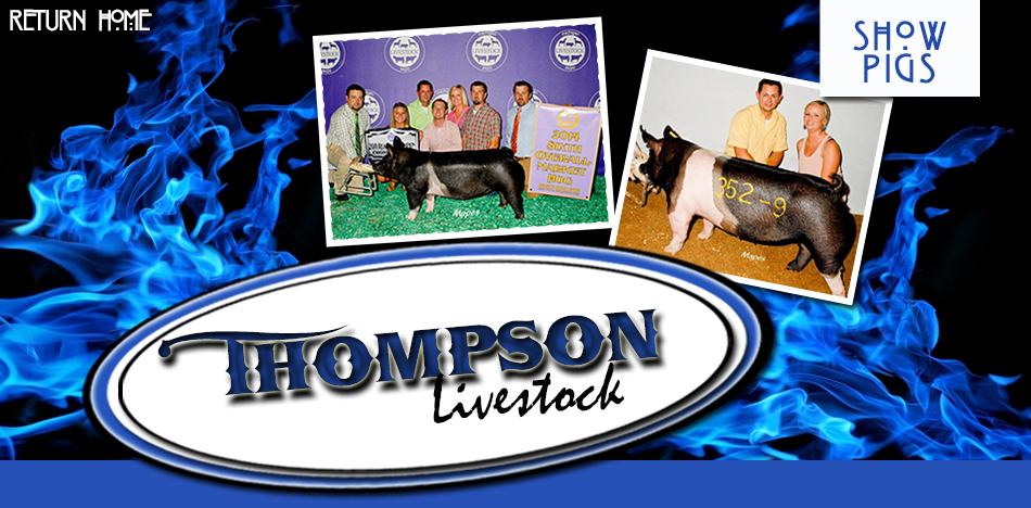 Thompson Livestock